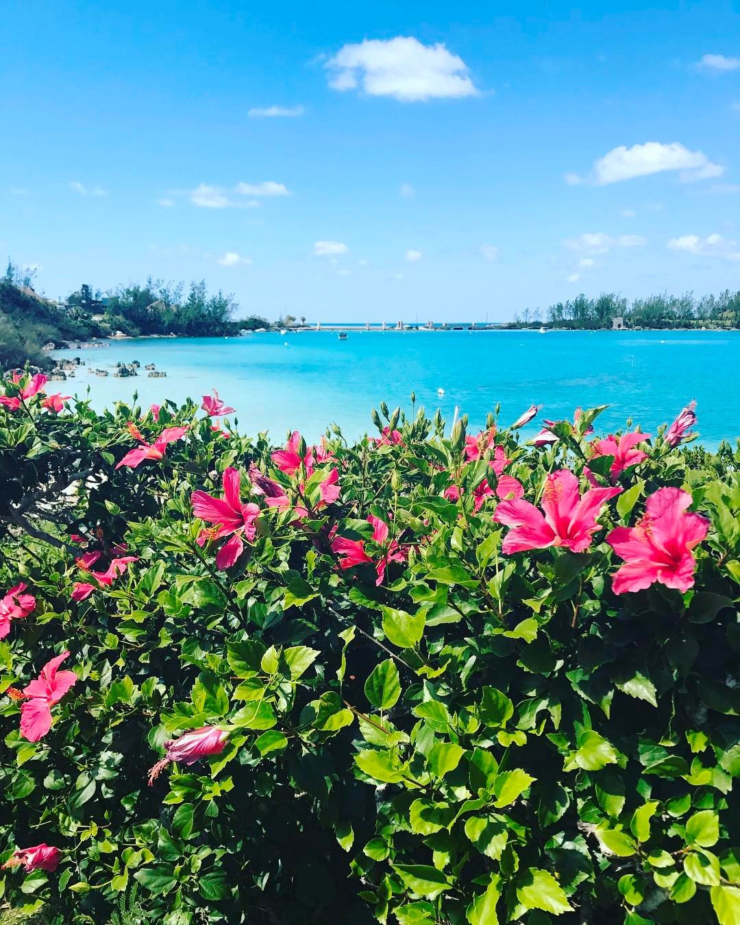 Grotto bay beach resort view, Bermuda