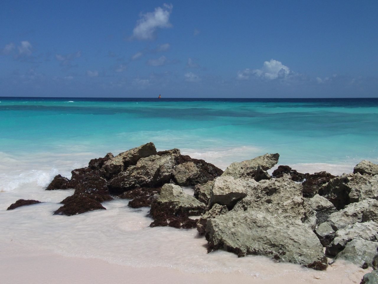 Beach, Turtle Beach All-Inclusive, Barbados