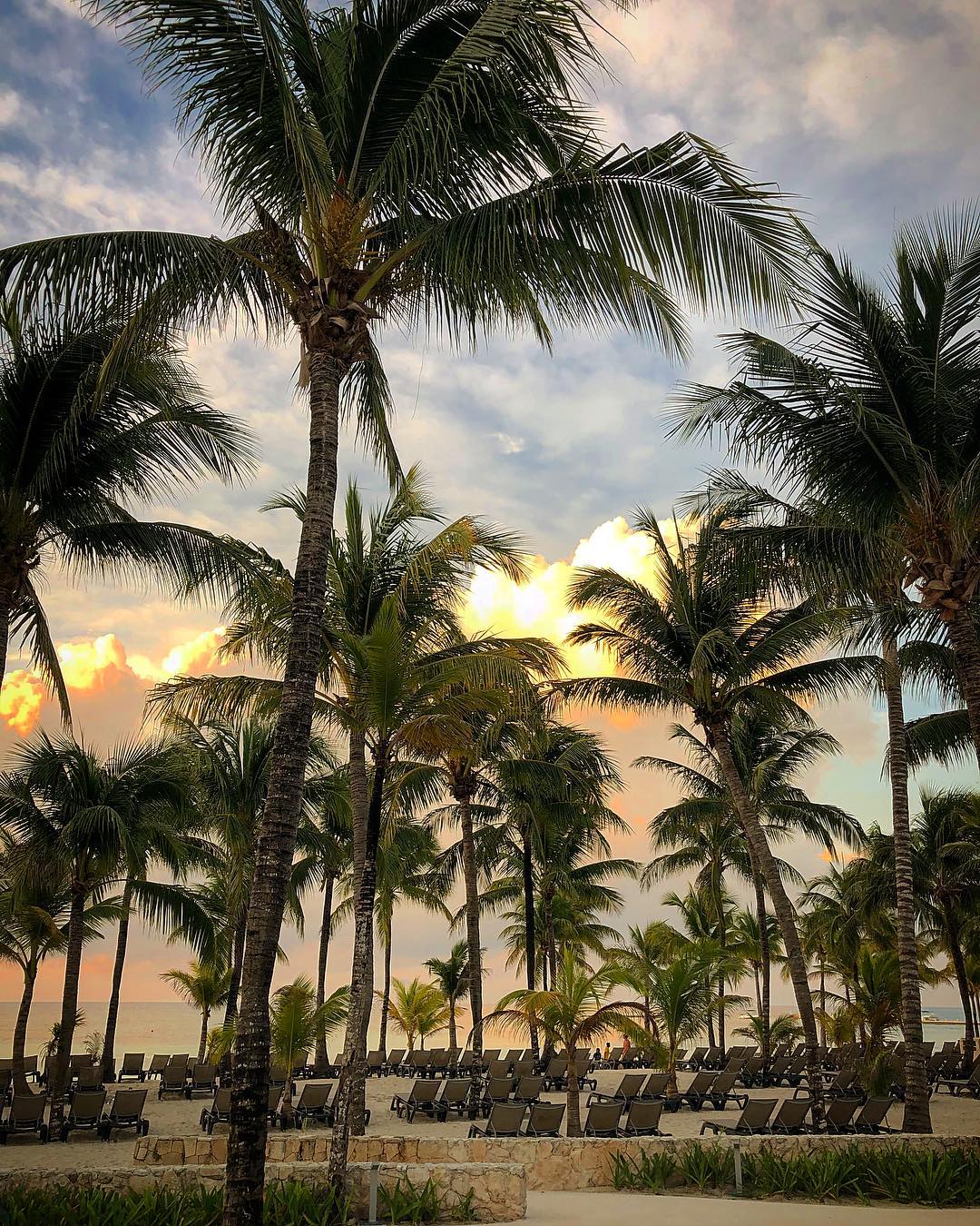 5 Reasons to Escape the Cold Weather in Riviera Maya